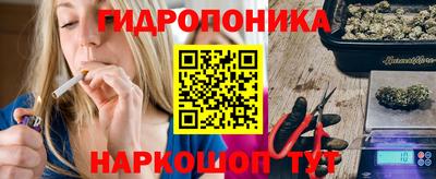 индика Бийск