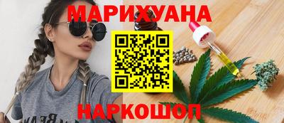 индика Бийск