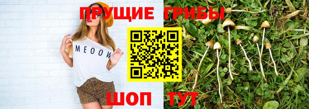 Галлюциногенные грибы GOLDEN TEACHER Кольчугино